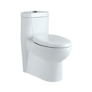 SINGLE PIECE-WC WITH PP SOFT CLOSE SEAT COVER, HINGES, CISTERN FITTINGS, FIXING ACCESSORIES AND ACCESSORIES SET