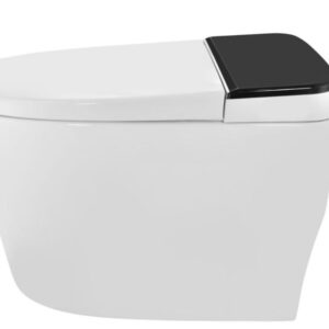 Automatic Rimless Floor Mounted WC