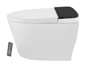 Automatic Rimless Floor Mounted WC