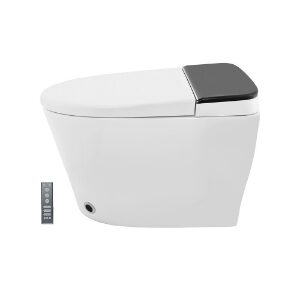 Fully Automatic Rimless Floor Mounted WC